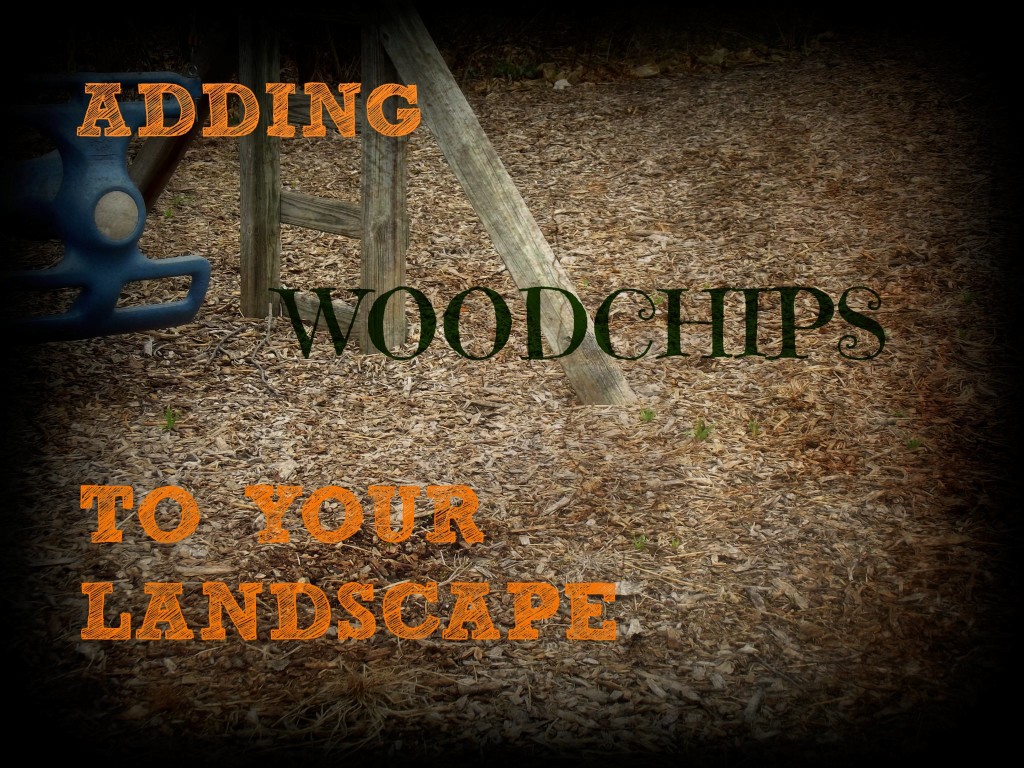 woodchips in landscape